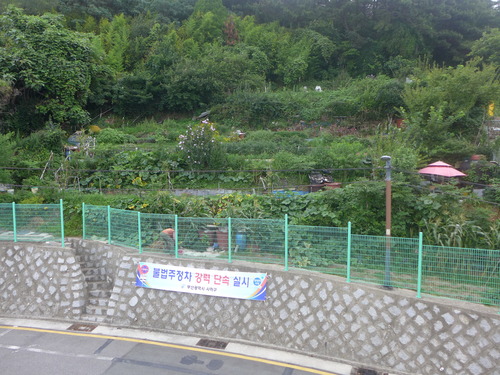 P1550135
