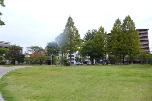 P1250108