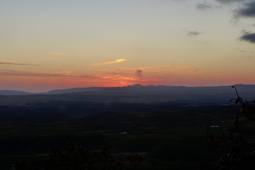 P1400991