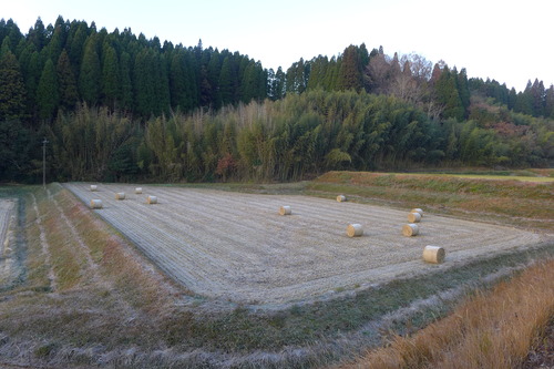 P1060780