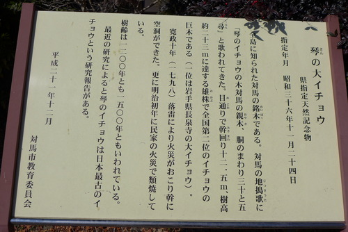 P1440514
