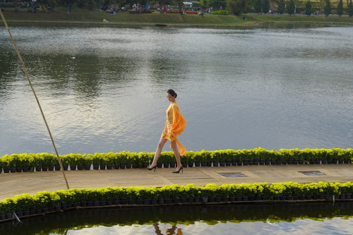 P1530428