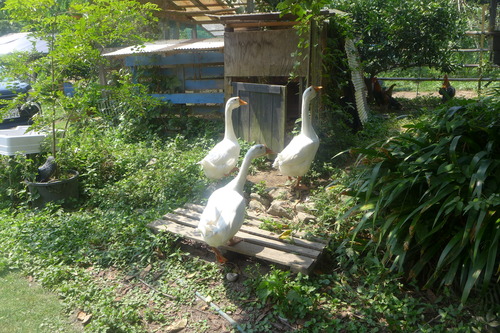 P1200405