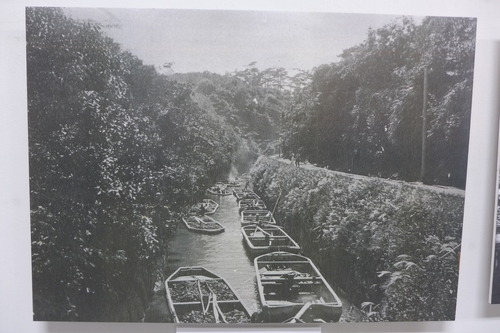 P1500440
