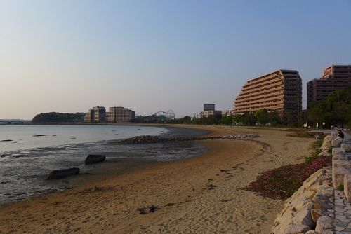 P1040669