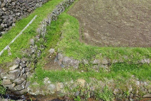 P1110241