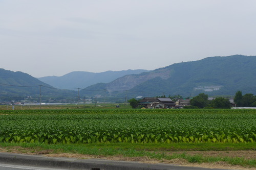 P1130761