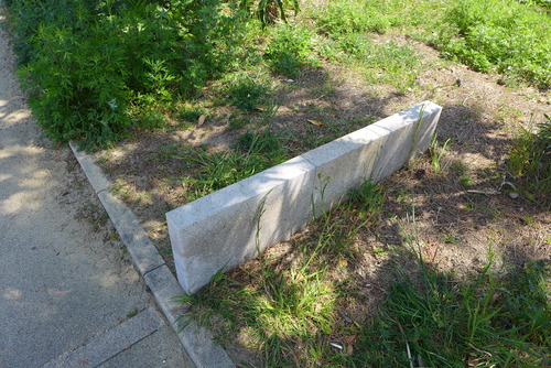 P1040778