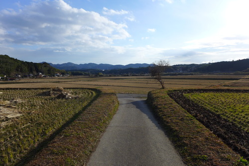P1030243