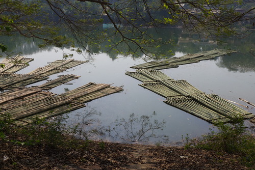 20260216インド北東トリプラ州都アガルタル（その12）JICA海外協力隊竹工芸訓練指導者まっぽん（松本浩和さん）と竹産地河川集積場踏査！