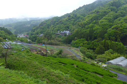 P1140276のコピー