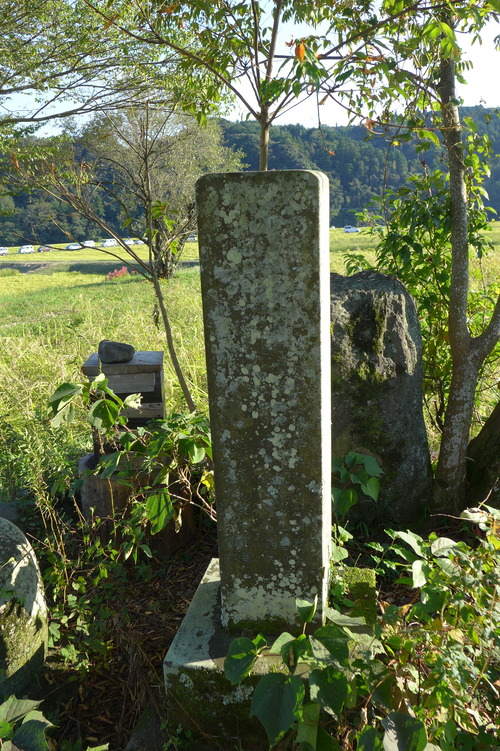 P1180536