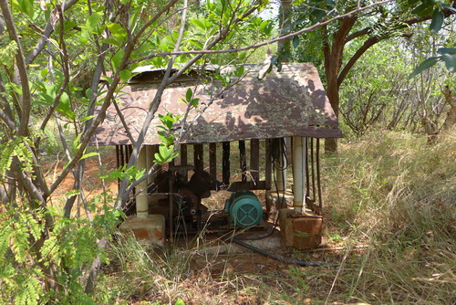 P1470789