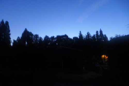 P1200564