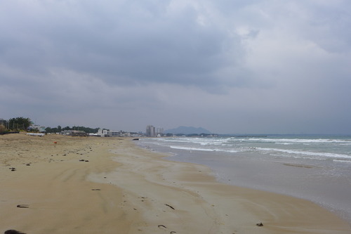 P1030951