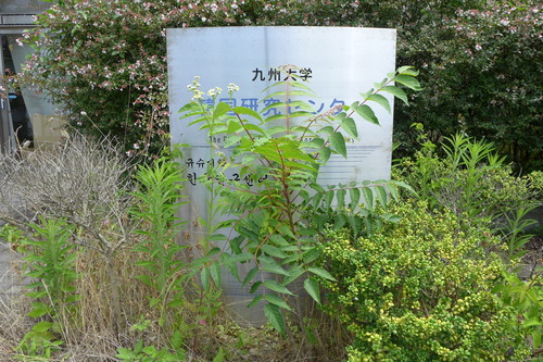 P1240674