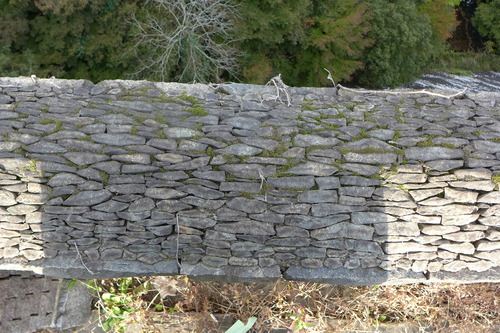 P1500023