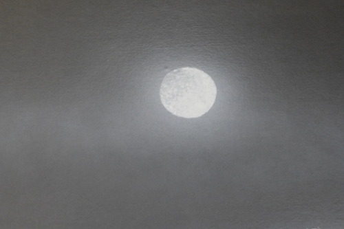 P1150910
