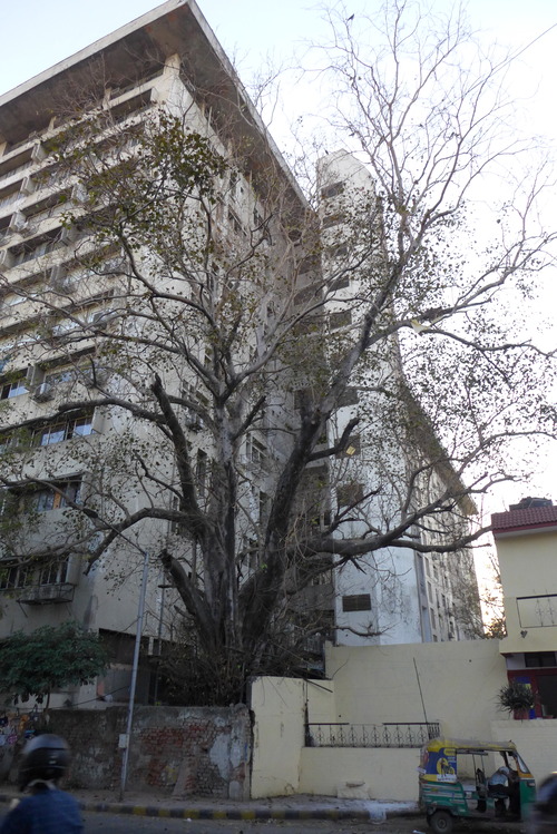 P1480458
