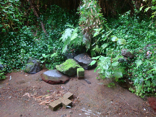 DSC09927