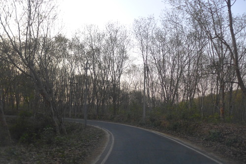 P1450405