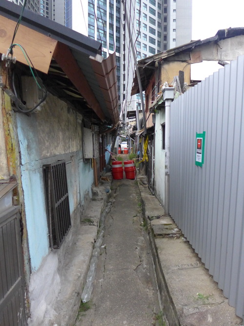 P1550335