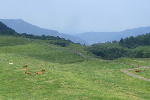 P1200940