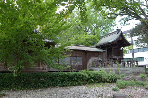 P1250169