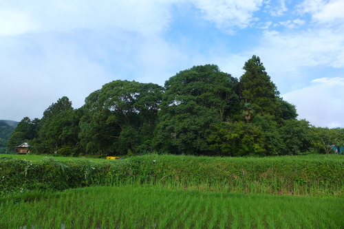 P1160765