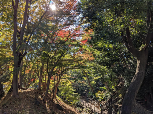 スクリーンショット 2025-11-28 19.17.51