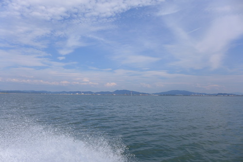 P1560772