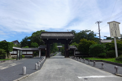 P1160955
