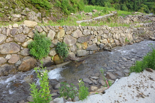 P1140050