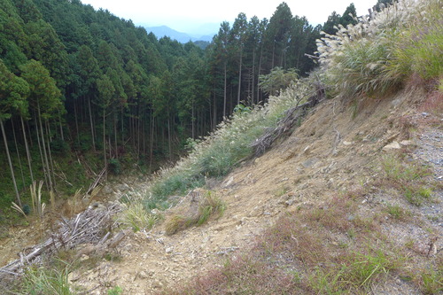 P1250924