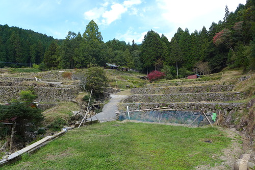 P1250821