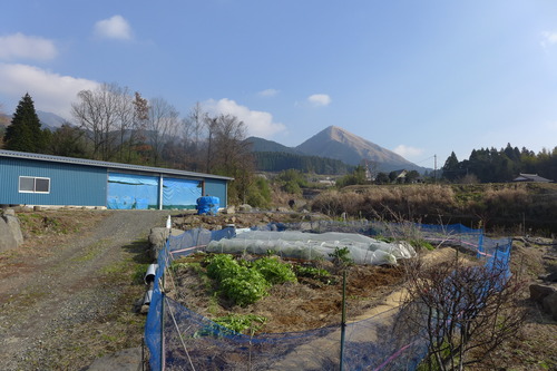 P1550265