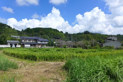 P1170352