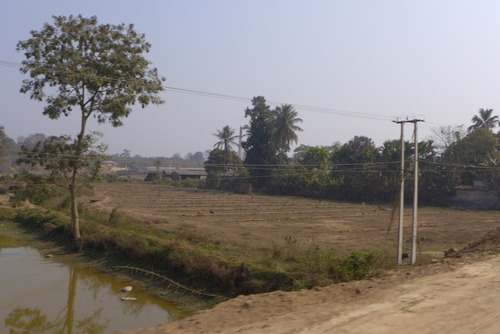 P1450499