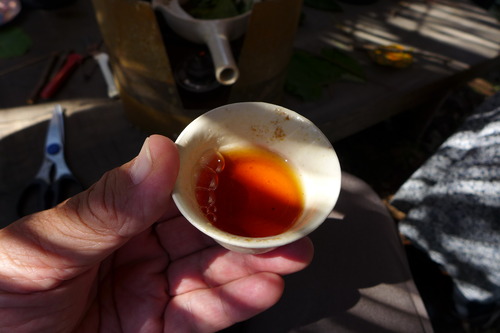 P1180781