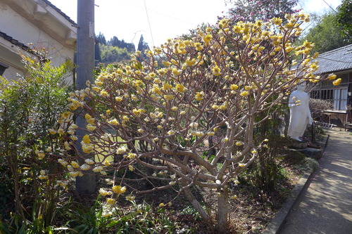 P1100097