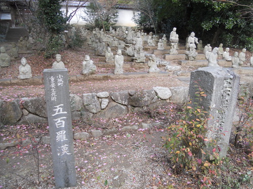 DSCN2393
