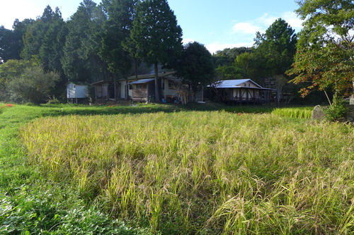 P1180232