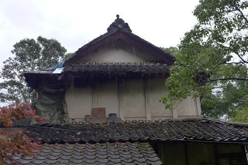 P1160039