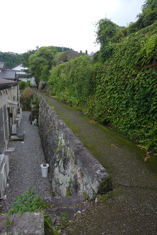 P1290220