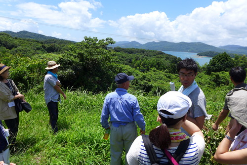 P1120674 のコピー