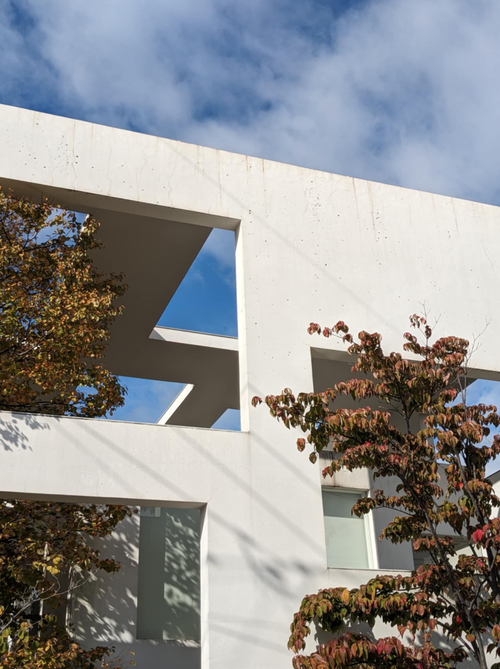 スクリーンショット 2025-11-28 19.16.56