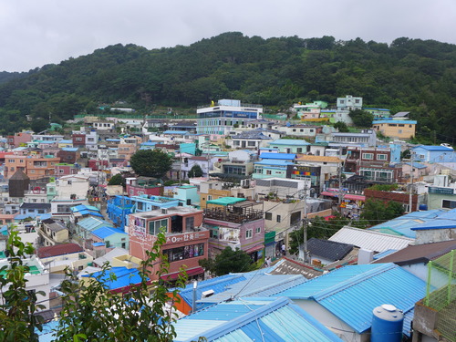 P1550099