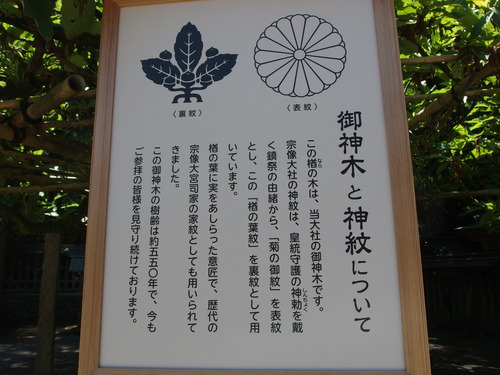 P5180770
