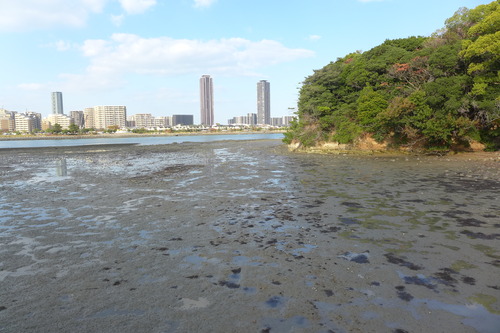 P1290200