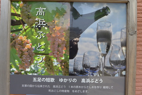 P1020655